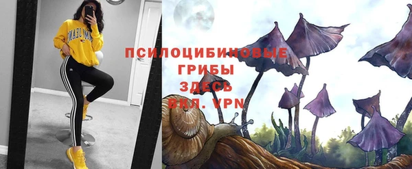 прущие крисы Бронницы