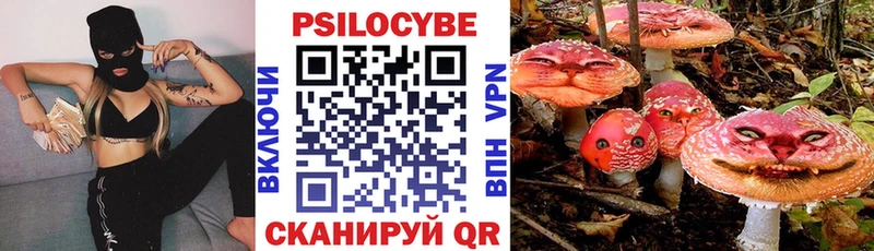 Купить закладки  Сосновоборск  Псилоцибиновые грибы мицелий 