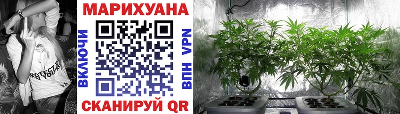 Шишки марихуана гибрид  Купить закладки  Сосновоборск 